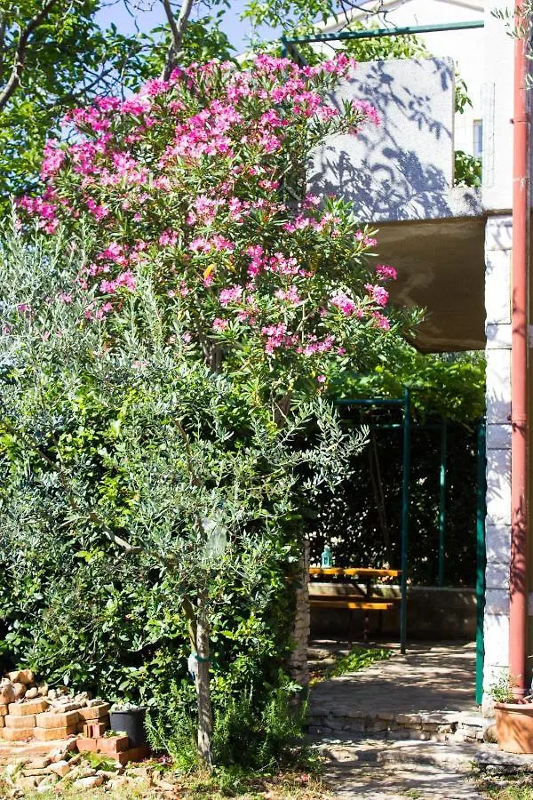 Bilini Garden Apartment Pula Croatia