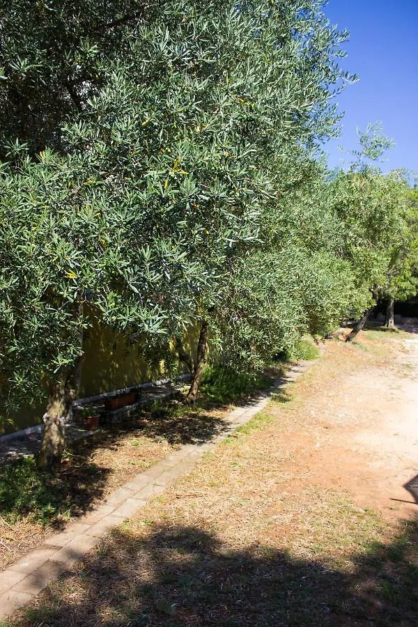 Bilini Garden Apartment Pula